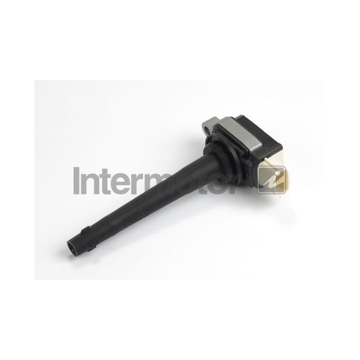 Ritė, uždegimas INTERMOTOR 12402