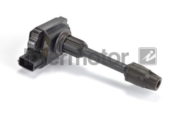 Ritė, uždegimas INTERMOTOR 12404