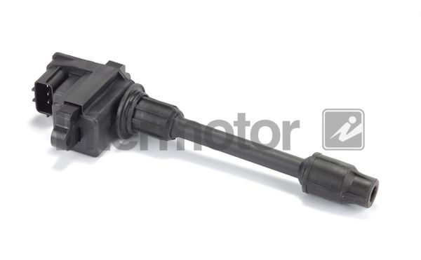 Ritė, uždegimas INTERMOTOR 12405