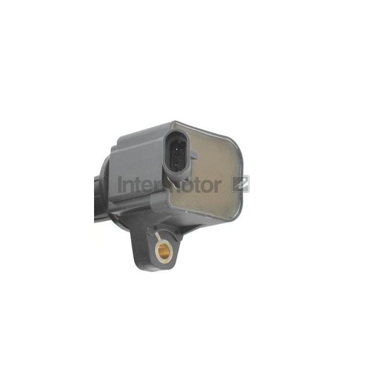 Ritė, uždegimas INTERMOTOR 12415