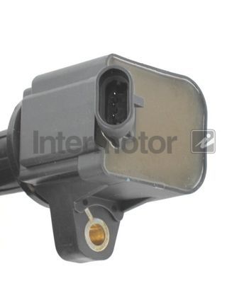 Ritė, uždegimas INTERMOTOR 12415