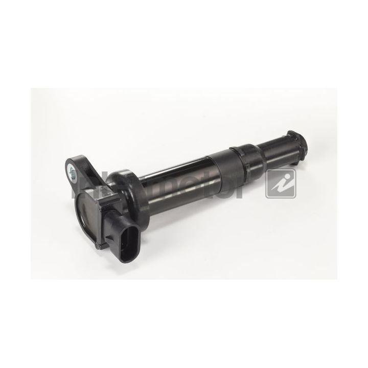 Ritė, uždegimas INTERMOTOR 12419