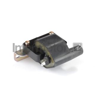 Ritė, uždegimas INTERMOTOR 12420