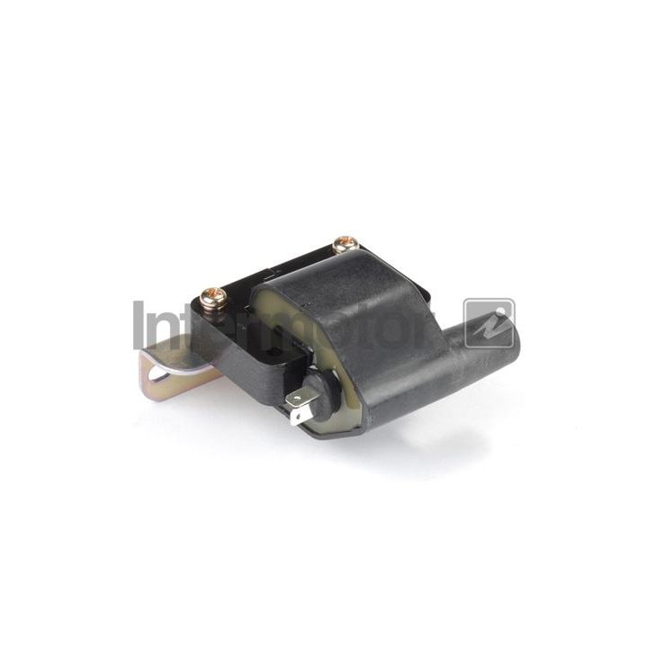 Ritė, uždegimas INTERMOTOR 12420