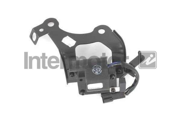 Ritė, uždegimas INTERMOTOR 12422