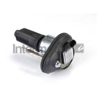 Ritė, uždegimas INTERMOTOR 12438