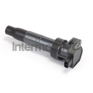 Ritė, uždegimas INTERMOTOR 12457