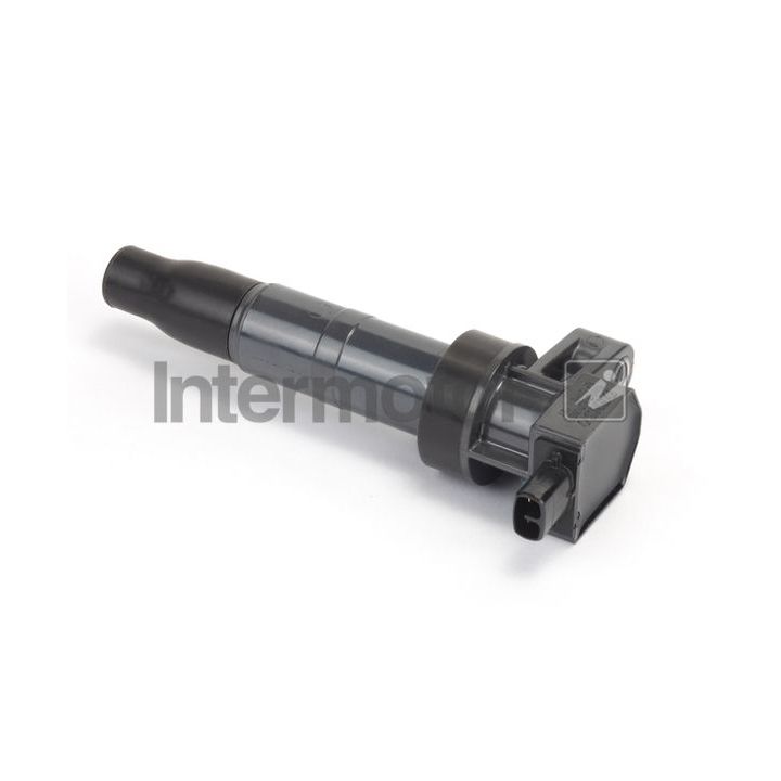 Ritė, uždegimas INTERMOTOR 12457