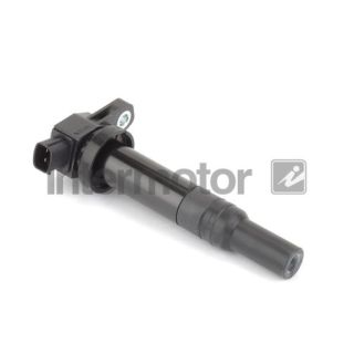 Ritė, uždegimas INTERMOTOR 12458