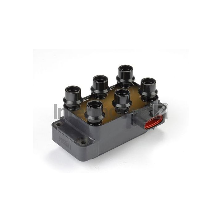 Ritė, uždegimas INTERMOTOR 12461