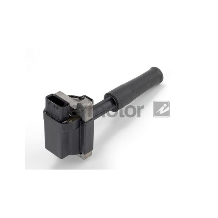 Ritė, uždegimas INTERMOTOR 12462