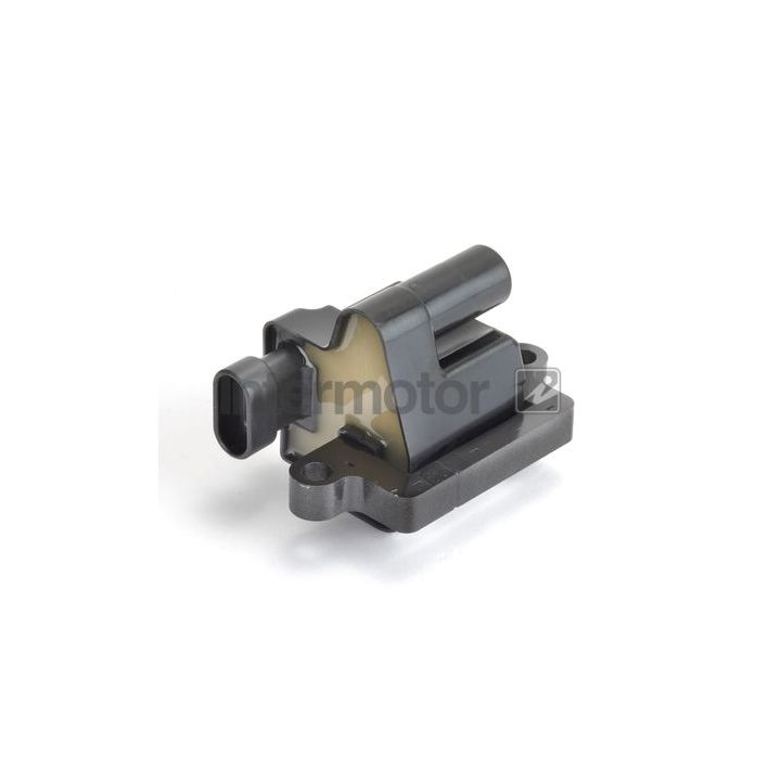 Ritė, uždegimas INTERMOTOR 12464