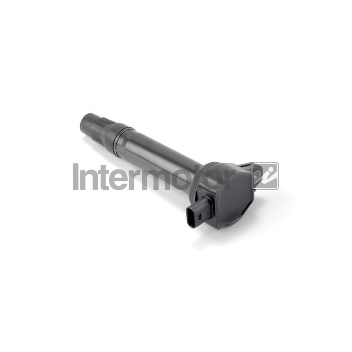 Ritė, uždegimas INTERMOTOR 12468