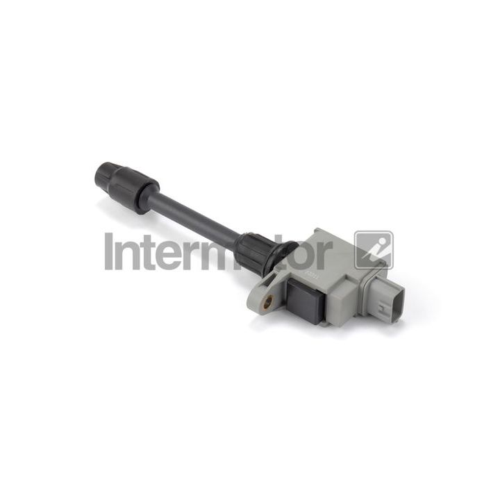 Ritė, uždegimas INTERMOTOR 12477