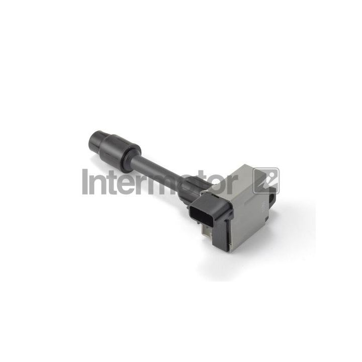 Ritė, uždegimas INTERMOTOR 12478