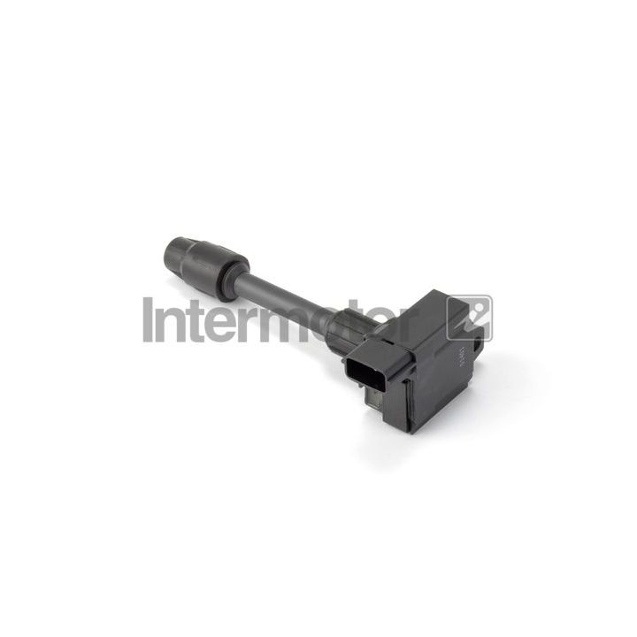 Ritė, uždegimas INTERMOTOR 12479