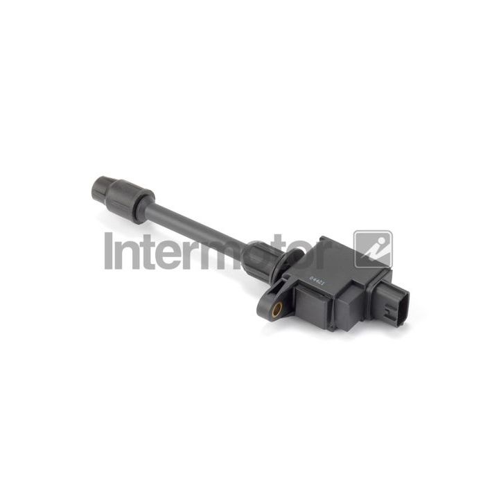 Ritė, uždegimas INTERMOTOR 12480