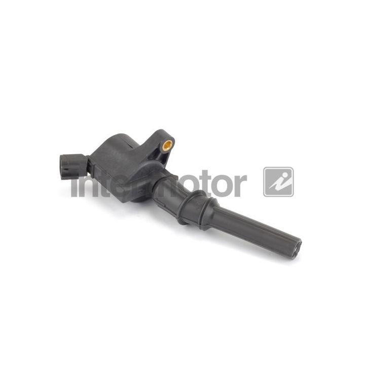 Ritė, uždegimas INTERMOTOR 12496