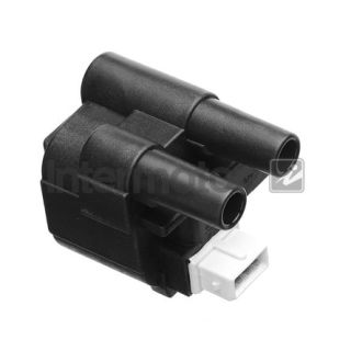 Ritė, uždegimas INTERMOTOR 12607