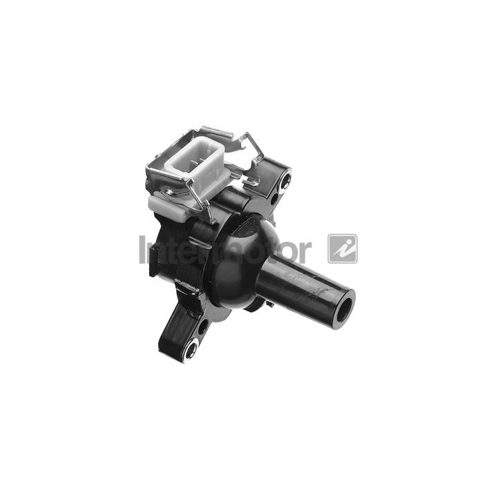 Ritė, uždegimas INTERMOTOR 12609