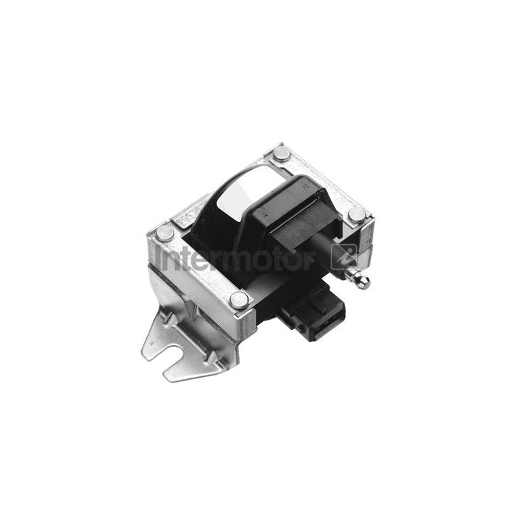 Ritė, uždegimas INTERMOTOR 12662