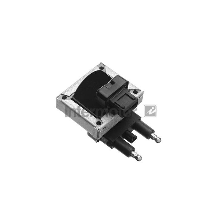 Ritė, uždegimas INTERMOTOR 12679