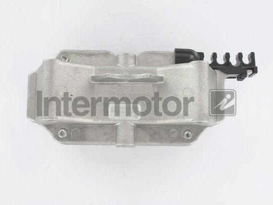 Ritė, uždegimas INTERMOTOR 12700