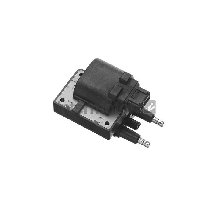 Ritė, uždegimas INTERMOTOR 12701