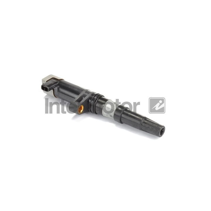 Ritė, uždegimas INTERMOTOR 12711