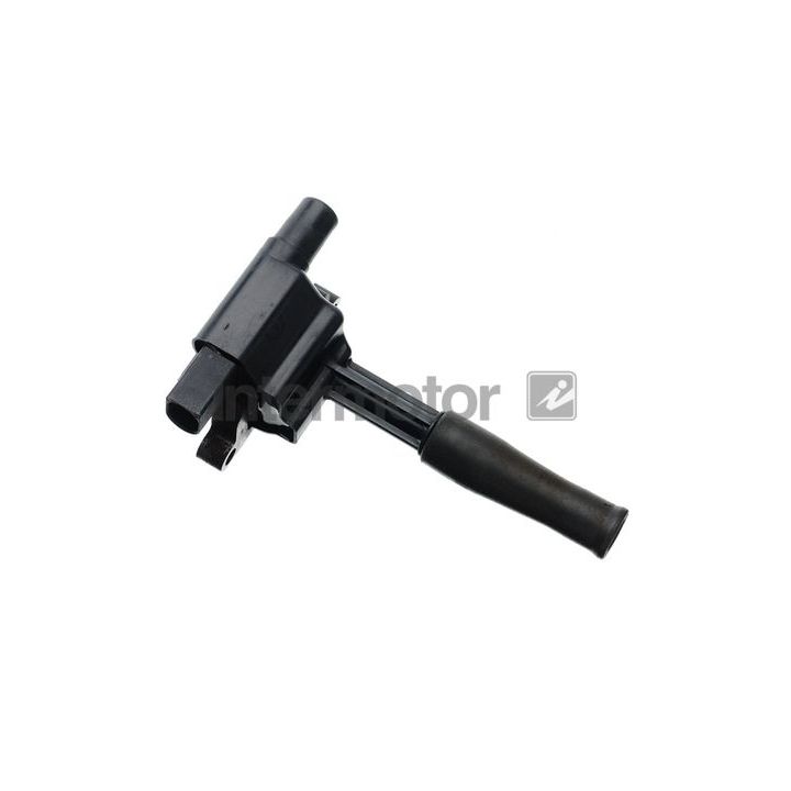 Ritė, uždegimas INTERMOTOR 12739