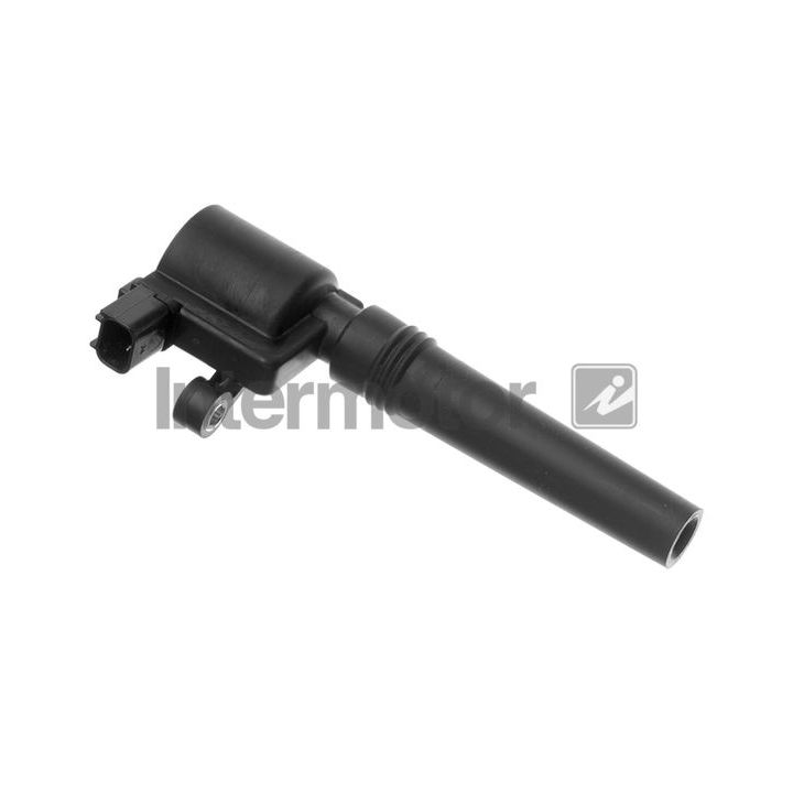 Ritė, uždegimas INTERMOTOR 12746