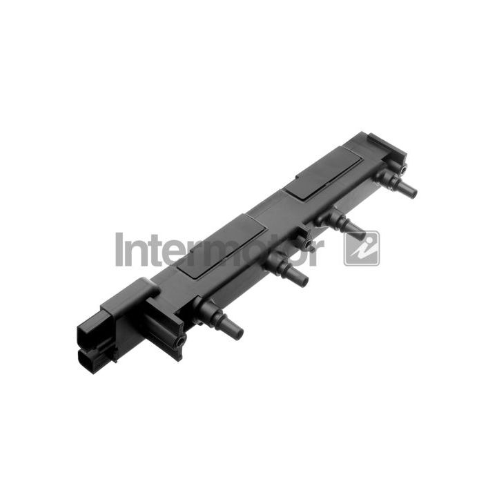 Ritė, uždegimas INTERMOTOR 12747