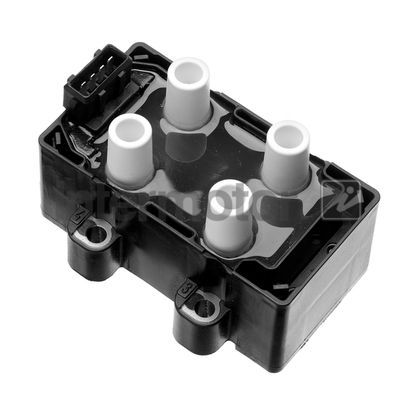 Ritė, uždegimas INTERMOTOR 12764