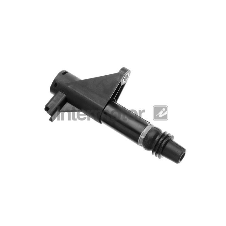 Ritė, uždegimas INTERMOTOR 12766