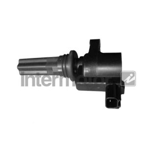 Ritė, uždegimas INTERMOTOR 12771