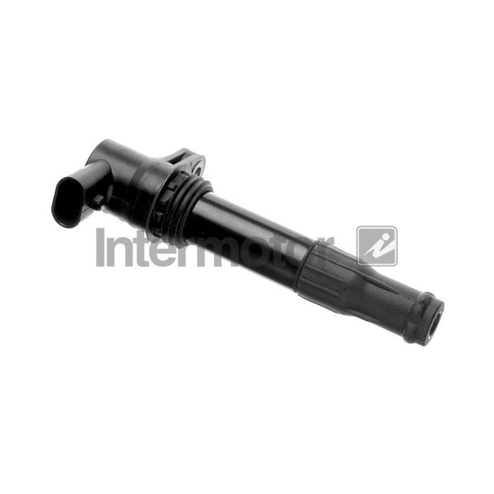 Ritė, uždegimas INTERMOTOR 12773