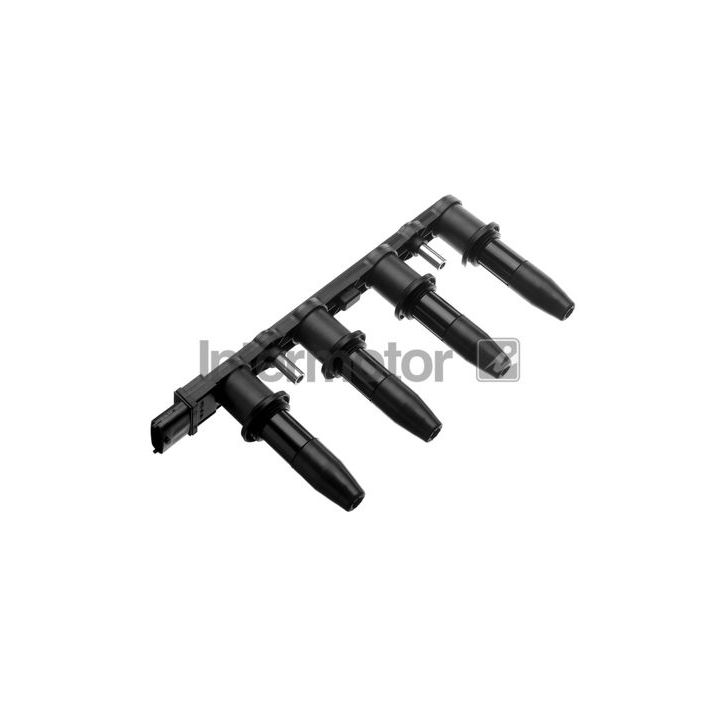 Ritė, uždegimas INTERMOTOR 12802