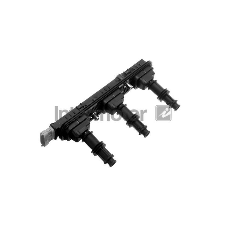 Ritė, uždegimas INTERMOTOR 12804