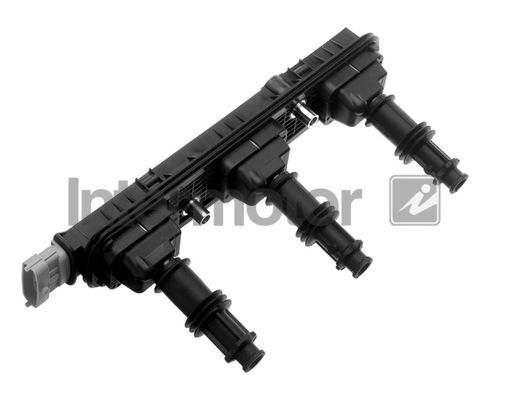 Ritė, uždegimas INTERMOTOR 12804