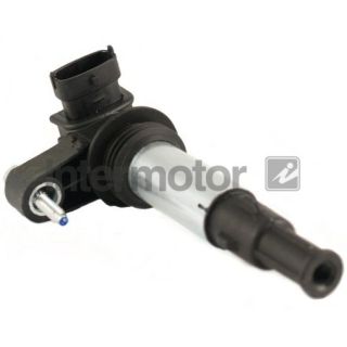 Ritė, uždegimas INTERMOTOR 12843