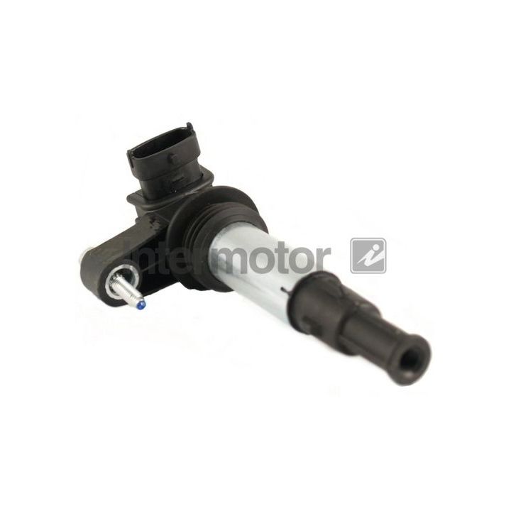 Ritė, uždegimas INTERMOTOR 12843