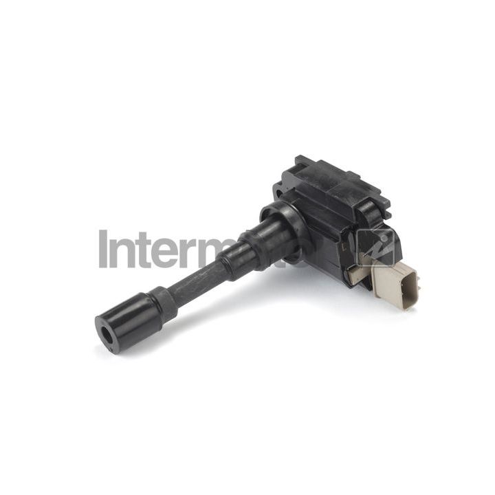 Ritė, uždegimas INTERMOTOR 12860