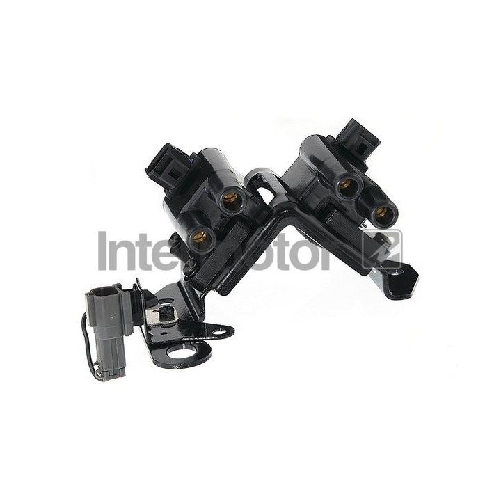 Ritė, uždegimas INTERMOTOR 12869