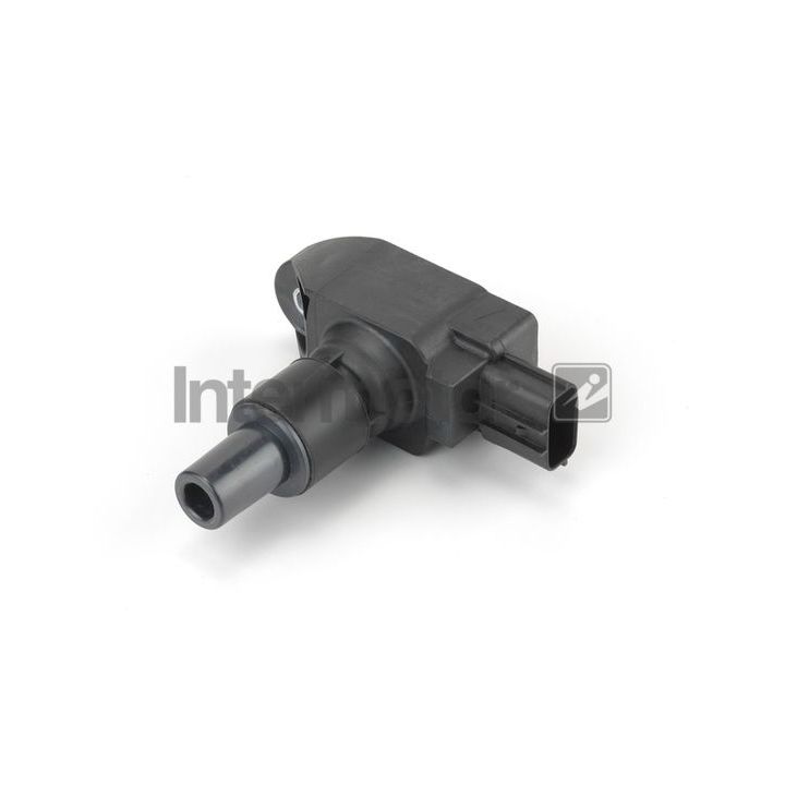 Ritė, uždegimas INTERMOTOR 12880