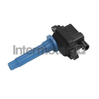 Ritė, uždegimas INTERMOTOR 12896