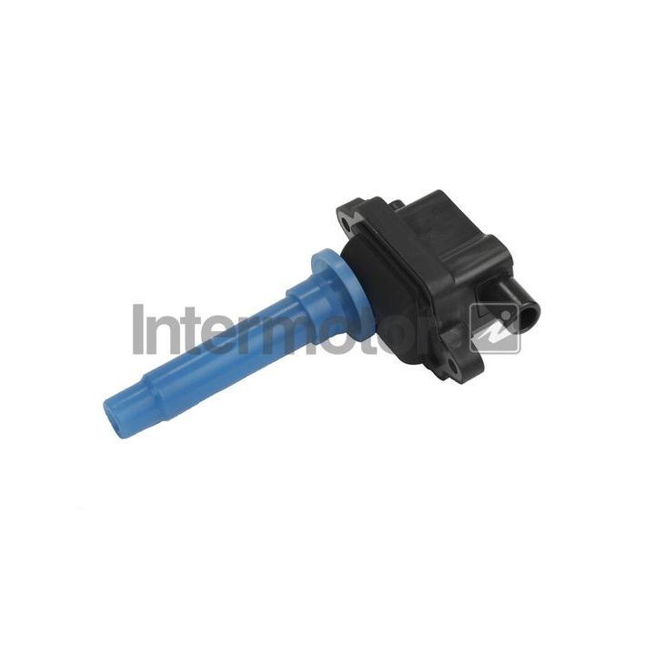 Ritė, uždegimas INTERMOTOR 12896