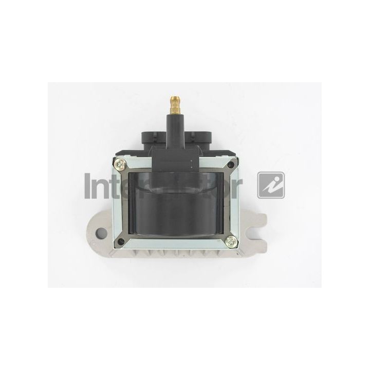 Ritė, uždegimas INTERMOTOR 12910