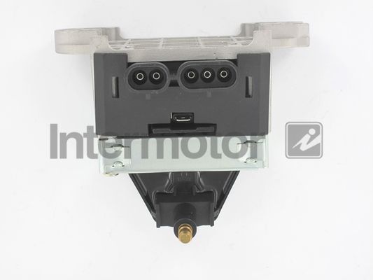 Ritė, uždegimas INTERMOTOR 12910