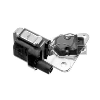 Ritė, uždegimas INTERMOTOR 12921