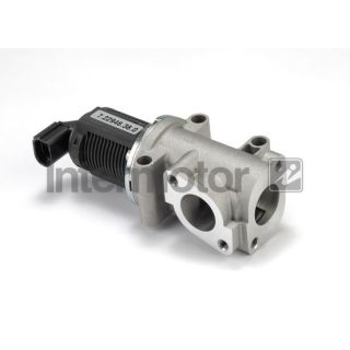 ERG vožtuvas INTERMOTOR 14313